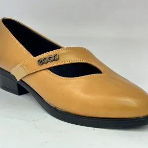 کفش طبی